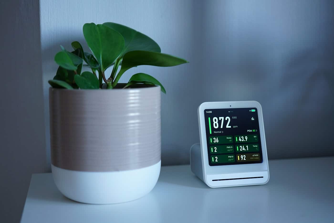 Petit capteur de qualité de l'air posé près d'une plante verte dans un salon