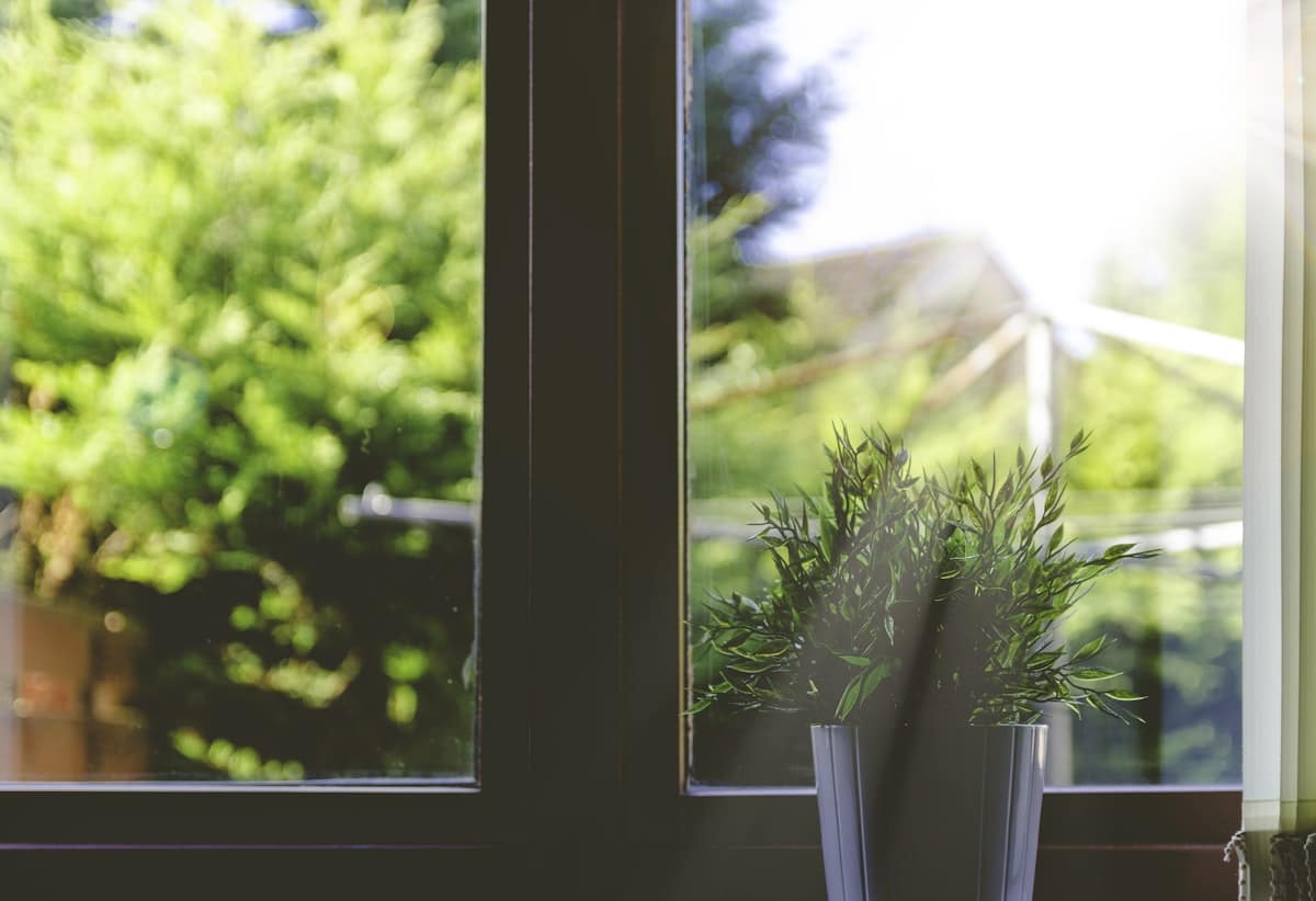 Plante verte devant une fenêtre lumineuse, air intérieur renouvelé